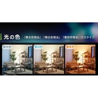 AC100V/7.9W/E26 電球/LED(電球色/広配光)_選択画像03