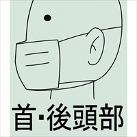 [N 95] マスク(有機性ガス用/2枚)_選択画像03