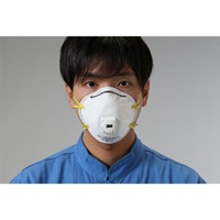 [DS1] マスク(防塵用/排気弁付/10枚)