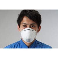 [DS1] マスク(防塵用/22枚)