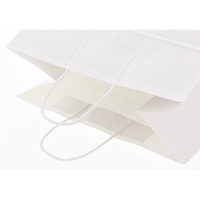 340x220x320mm 紙袋(白無地/50枚)_選択画像02