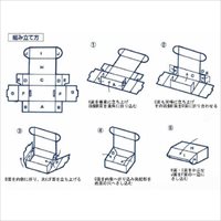 220x320x 60mm 収納ボックス(無地/10枚)_選択画像03