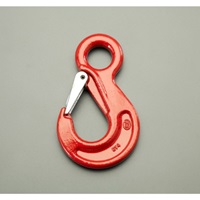 2.0ton アイフック_選択画像02