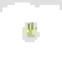 R 1/2 六角プラグ_選択画像03