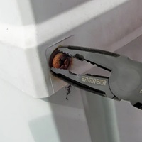 ネジプライヤー ネジザウルスセット_選択画像02