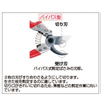203mmハサミ･剪定_選択画像03