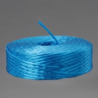 5.0mmx100mPPロープ 青/10巻