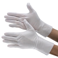 Ｌ275手袋クリンルム用PEウレタンコト10双_選択画像02