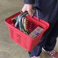 310x249x209mm/10L バスケット(茶/4個)_選択画像04