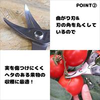 154mm 摘果はさみ(曲刃)_選択画像04