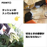 177mm 摘果はさみ_選択画像03