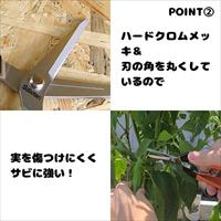 177mm 摘果はさみ_選択画像04
