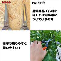 177mm 摘果はさみ(左きき用)_選択画像03