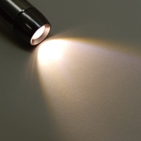[単4x2本] フラッシュライト/LED(ペン型)_選択画像03