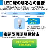 AC100V/ 40W/E26/電球/LED (昼光色)_選択画像03