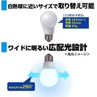 AC100V/ 40W/E26/電球/LED (昼光色)_選択画像04