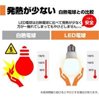 AC100V/ 40W/E26/電球/LED (電球色)_選択画像02