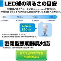 AC100V/ 60W/E26/電球/LED (昼光色)_選択画像03