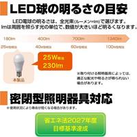 AC100V/25W/E17/電球/LED (電球色)_選択画像03