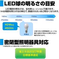 AC100V/40W/E17/電球/LED (昼光色)_選択画像03