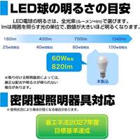 AC100V/60W/E17/電球/LED (昼光色)_選択画像03