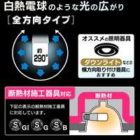 AC100V/7.3W/E26 電球/LED(全方向/昼白色)_選択画像02