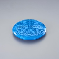 φ330mm エクササイズクッション