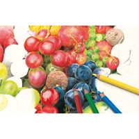 100色 色鉛筆セット_選択画像02