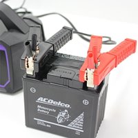 AC100V/4-140Ah 自動パルス充電器_選択画像04