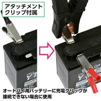 AC100V/4-176Ah 自動パルス充電器_選択画像02