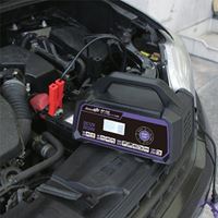 AC100V/4-176Ah 自動パルス充電器_選択画像03