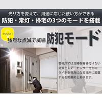 ２灯 防雨型LEDセンサーライト(ソーラー式)_選択画像03