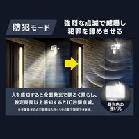 AC100V ＬＥＤセンサーライト(2灯)_選択画像04