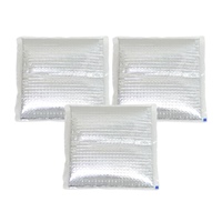 季節品)165x160x15mm 保冷剤(3個)_選択画像02