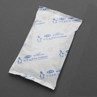 季節品)100x170保冷剤(フィルムタイプ/10個