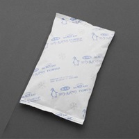 季節品)100x170保冷剤(不織布タイプ/10個)