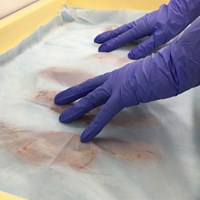 325x350mm 工業用ワイパー(50枚/ブルー)_選択画像03