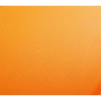 400mlペイントラバースプレー(蛍光オレンジ_選択画像02