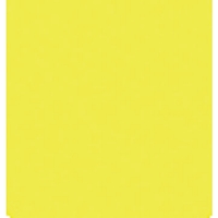 1.0kg 滑り止め塗料(蛍光レモン)_選択画像03