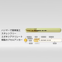 16.75x125mm ケミカルアンカー(打込式)_選択画像02