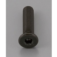 M10x20mm6角穴付ボルト超低頭クロメート2本_選択画像02