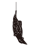 140x120x490mm 疑似カラス_選択画像03