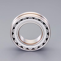 [22219RZW33]自動調心ころ軸受