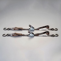25mmx2.4m/225kg ベルト荷締機(2本組)