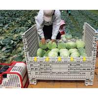 810x515x595mm500kgメッシュパレット_選択画像02