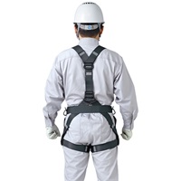 墜落制止用器具フルハーネス伸縮式ランヤド_選択画像04