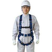 墜落制止用器具フルハーネスツインランヤド_選択画像03