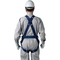 墜落制止用器具フルハーネスツインランヤド_選択画像04