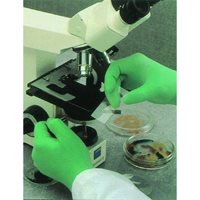 S/240mm手袋(ラテックスゴムパウダ-付100枚_選択画像03