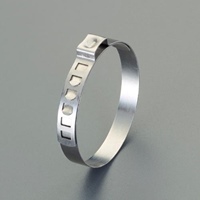 24-32mm ホ-スクランプ(イヤ-型/10個)